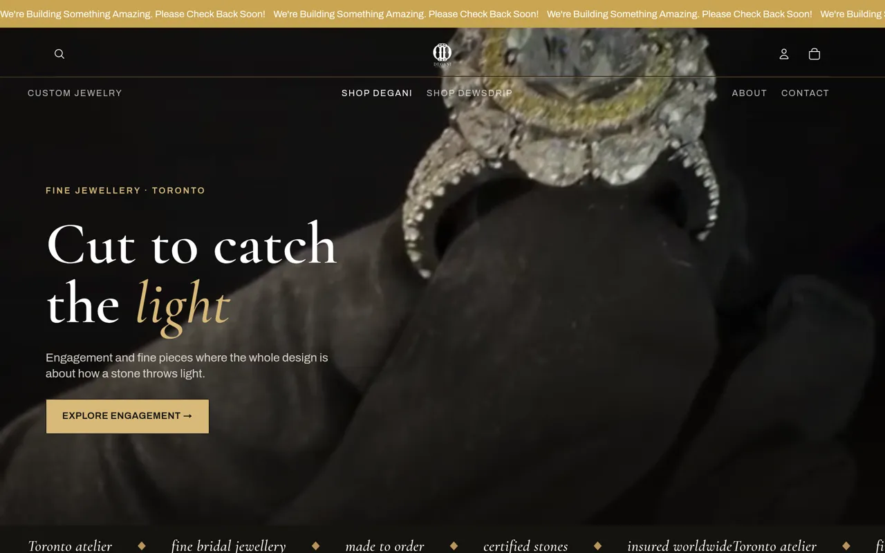 Degani Jewelry live website