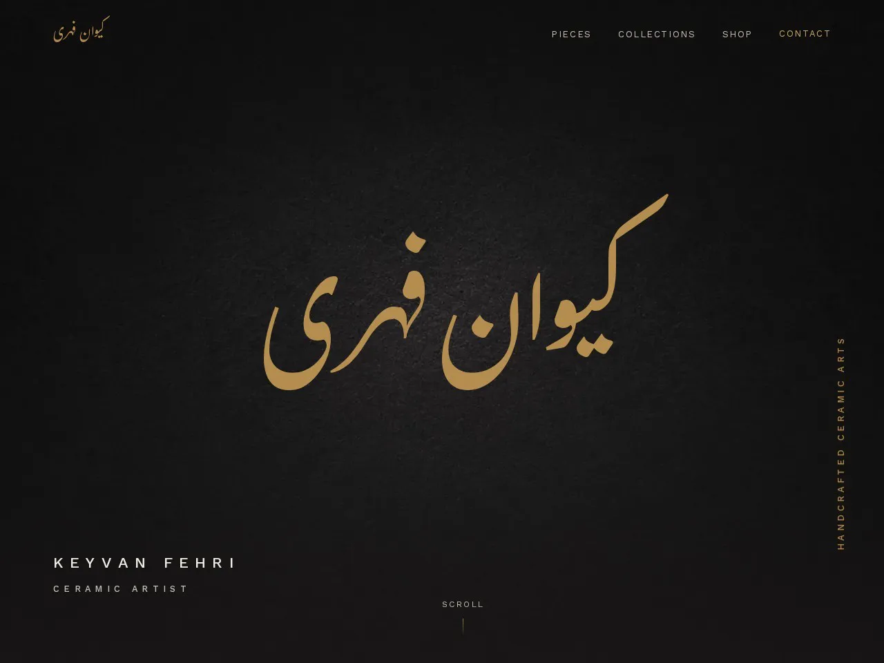 Keyvan Fehri live website